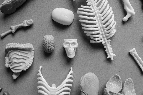 Dplantes : des solutions naturelles pour votre santé optimale